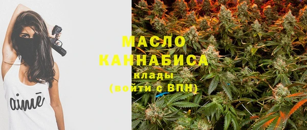 винт Абаза