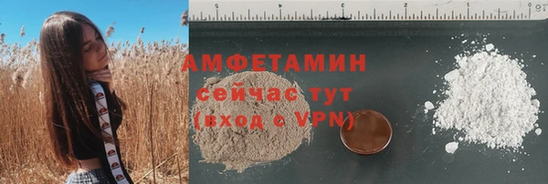 винт Абаза